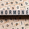 Hormone im Griff